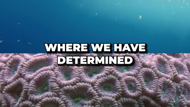 This Is How Scientists Trace Back Microplastics to Its Source