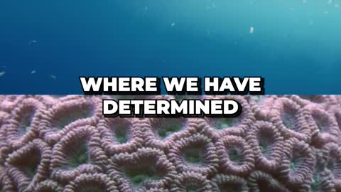 This Is How Scientists Trace Back Microplastics to Its Source