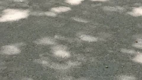 9-16