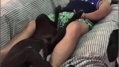 Theo anh em, chủ nên xử lý sao với lũ pet này 😀😀