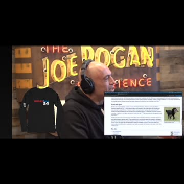 Andrew Tate Joe Rogan team up