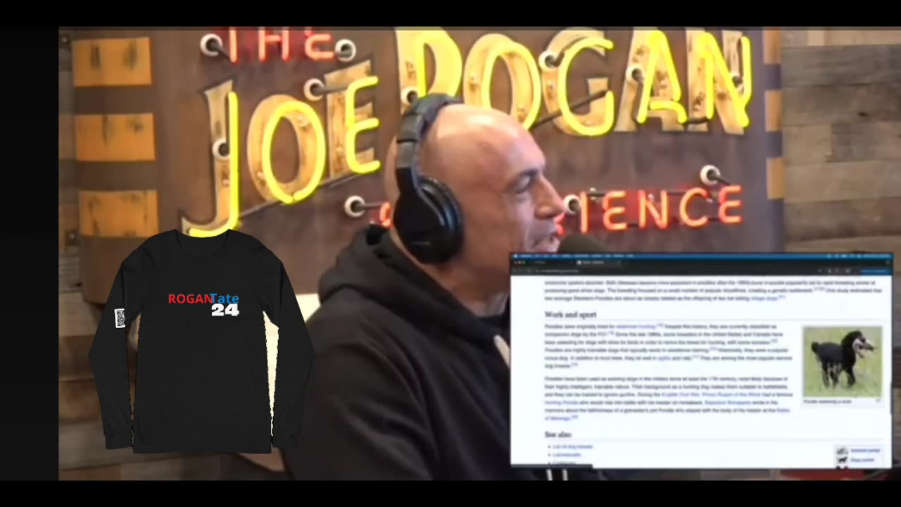 Andrew Tate Joe Rogan team up