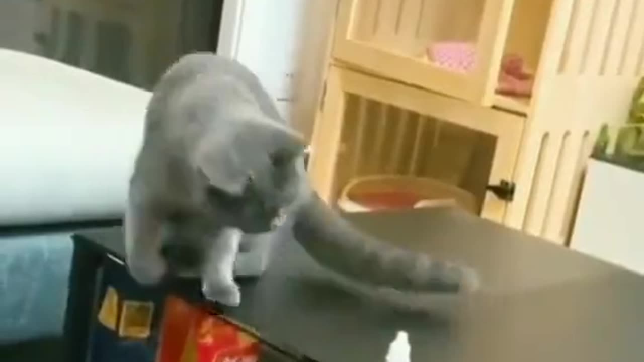 Try not to laugh 😂