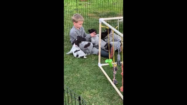 Pile of puppies give hugs & kisses to lucky little boy