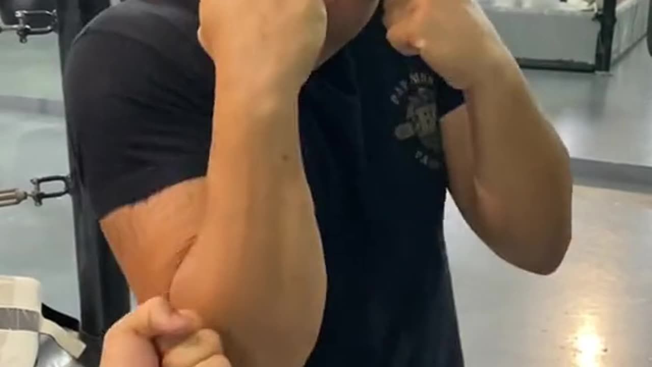 "Mastering the Art of Combat: A Comprehensive Guide on How to Fight"