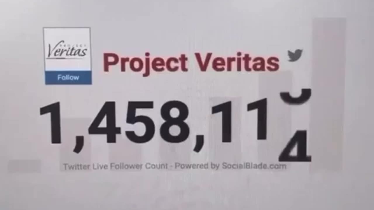 Project Veritas is losing massive amounts of followers on Twitter.