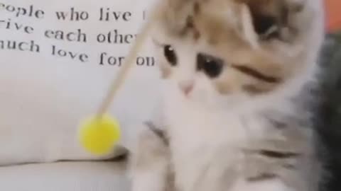 So cute!
