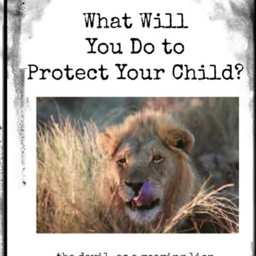 Slinke Scouse - The Warning V2 #hope #light #love