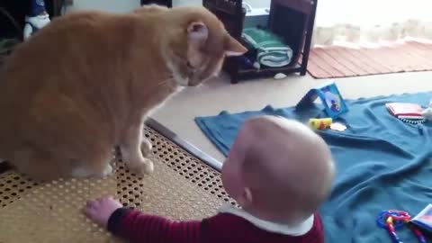 Cute Baby and Cat Playing Together | Cute Baby and pets playing