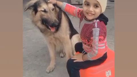 My son enjoy with the dog