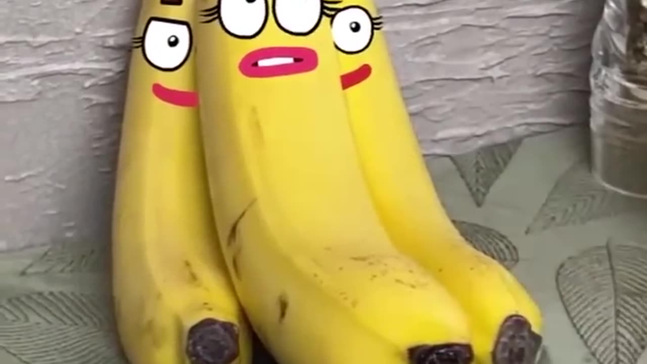 Funny animal