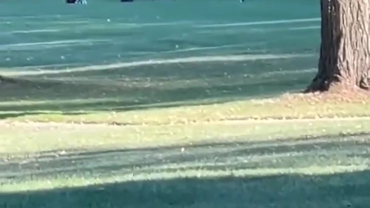Flopped on the Back 9