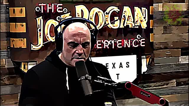 Interesting snipped of a Joe Rogan Podcast CARTOONIZED