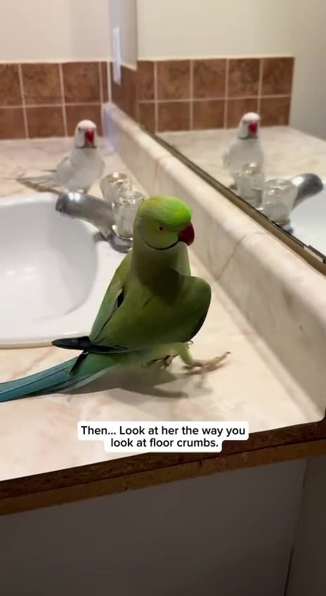 American gigolo is still at it 😂