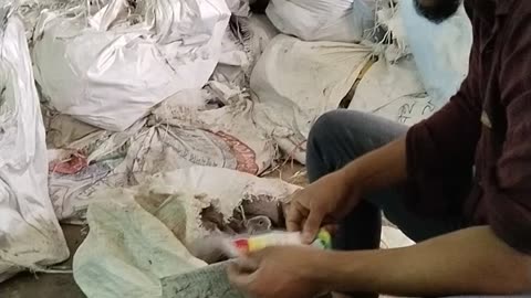 How books are being dried after being soaked in water