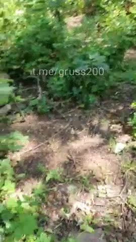 Well What Did You Think Was Going to Be Under There?