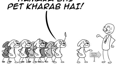 Story About a Street Dogs