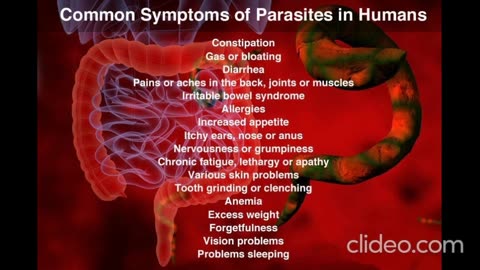 DIRT ROAD DISCUSSIONS IVERMECTIN LIVE CHATS TESTIMONIALS LYME DISEASE PARASITES 08-17-22