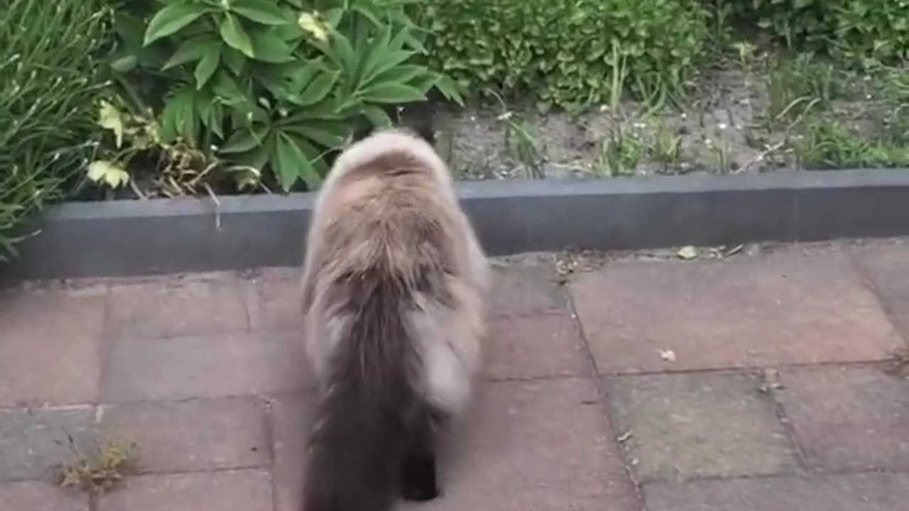 Surprise