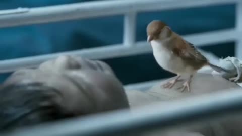 Mera Allah Her Cheez Par Qadar hai.Allah Ho Akbar