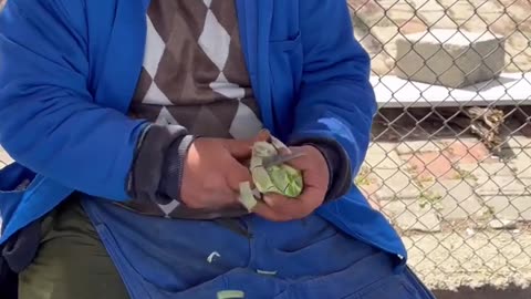 How To Cut Artichoke In Local Bazaar