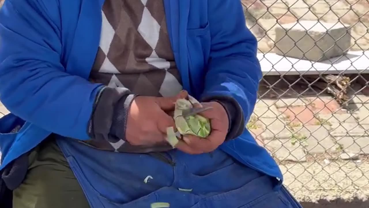 How To Cut Artichoke In Local Bazaar