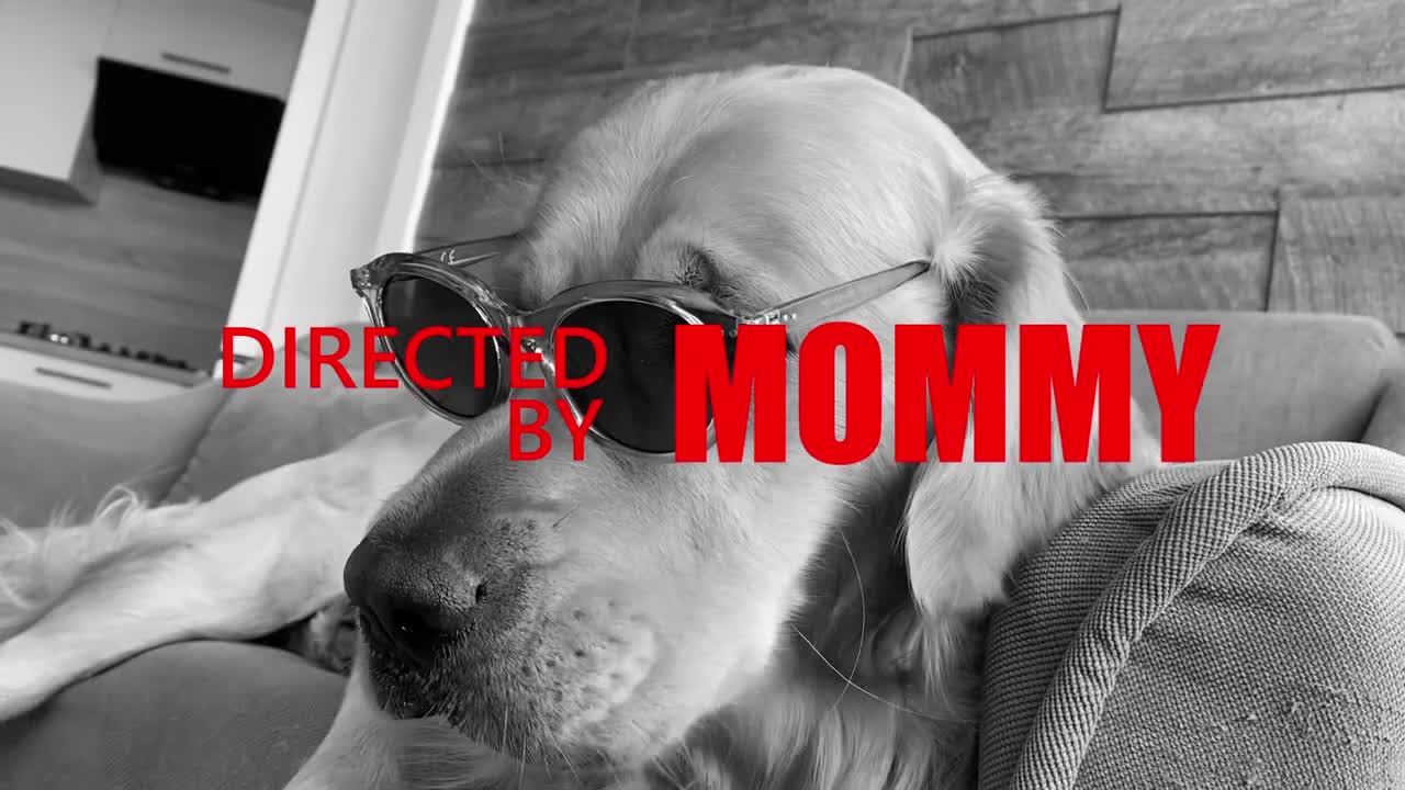 My Dog Launches His First Song!