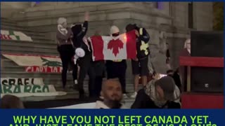 Anti-Canadian Palestinians LEAVE CANADA NOW!