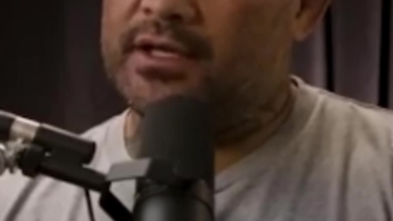 UFC vs Mark Hunt