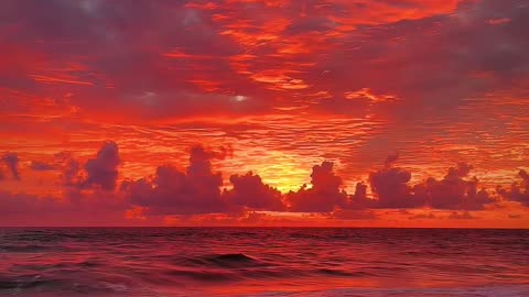 Beautiful Nature 🥰