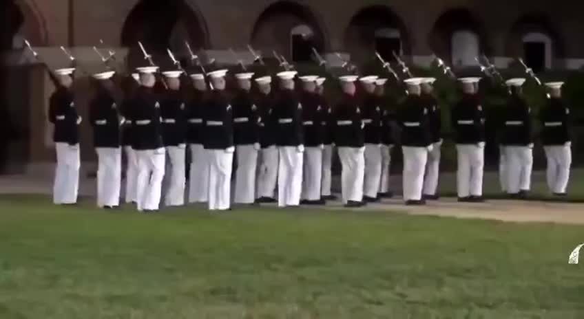 CUE THE MARINES Awesome video!