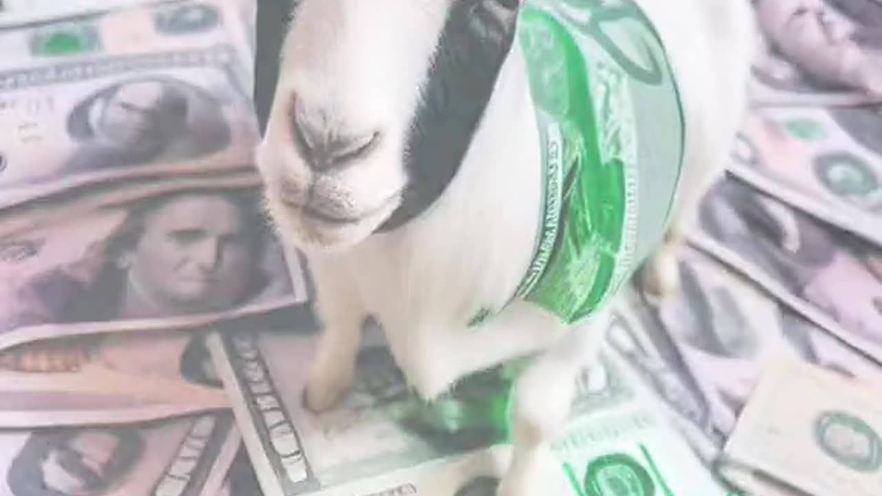 When You Ready For the Best Night Of Your LIFE!