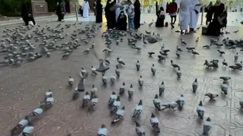 Ramadan Kareem