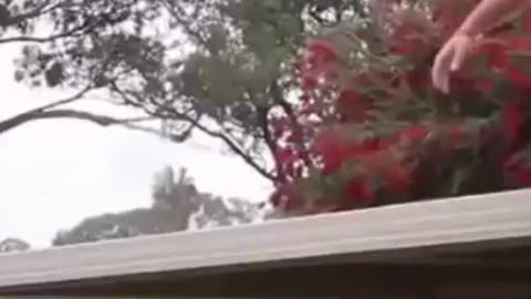 The end 😂😂😂 #viral #shorts #reels #fails #funny #mmvfunny