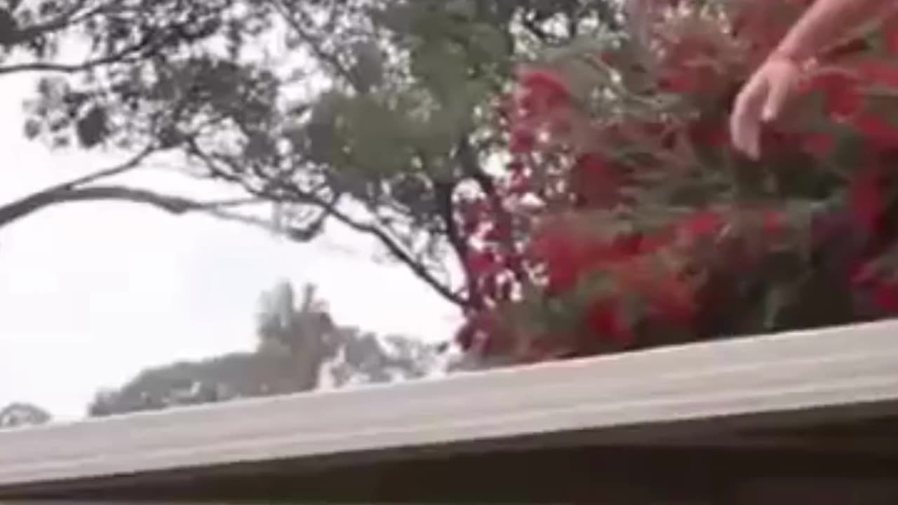 The end 😂😂😂 #viral #shorts #reels #fails #funny #mmvfunny