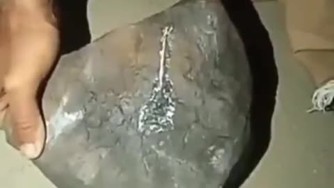 I'm curious if anyone knows what is this substance that dissolves iron?