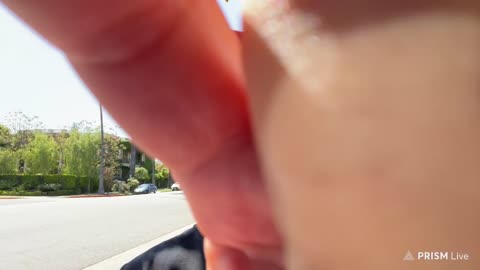 Live - Beverly Hills Freedom Rally - Free The J6er’s