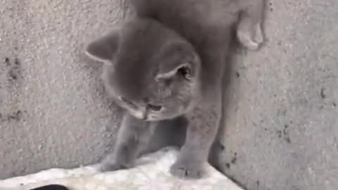 Freaked out by your phone