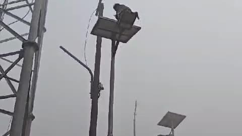 Monkey le kr bhga meri bby ka kurkure