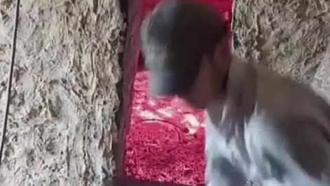 wow