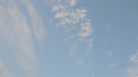 Plane in the sky