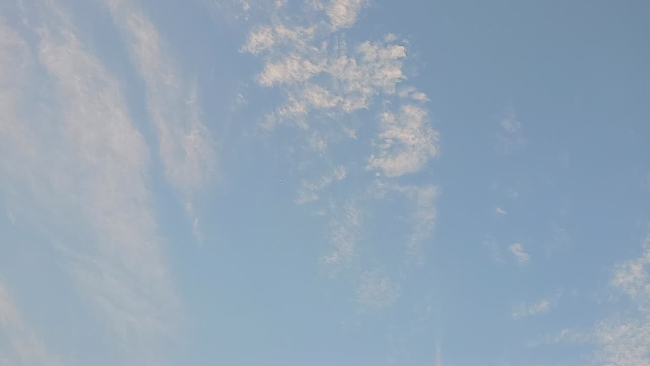 Plane in the sky