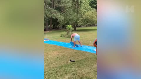 Funny videos