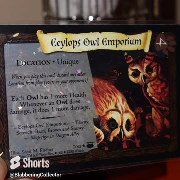 Do You Remember Eeylops? #harrypotter #wizardingworld #tcg #diagonalley #cardcollector
