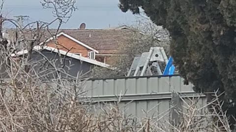 Man Reaches For Stars On Backyard Swing Set