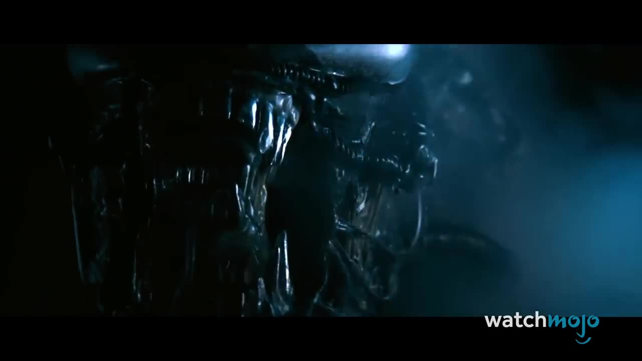 Top 10 Nerve-Racking Horror Movies