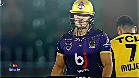 Cricket lover