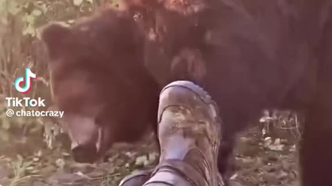 News Break: Stay very still.