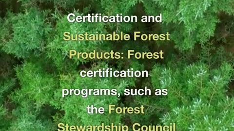 How to monetize ecosystems services from the forest
