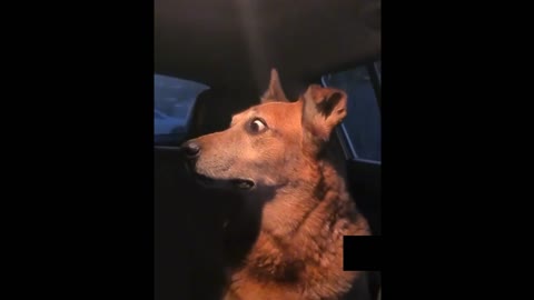 When Someone got caught
